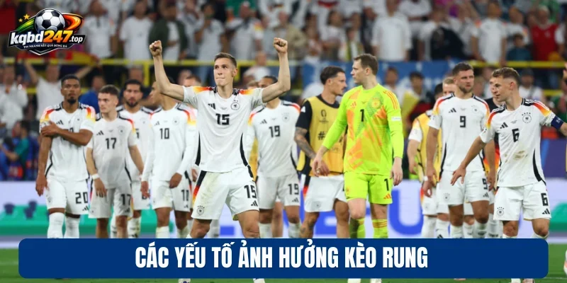 Các yếu tố ảnh hưởng kèo rung