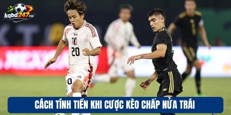 Kèo Chấp Nửa Trái - Bí Kíp Cược Hiệu Quả Chuẩn Cao Thủ 3 Cách tính tiền khi cược kèo chấp nửa trái