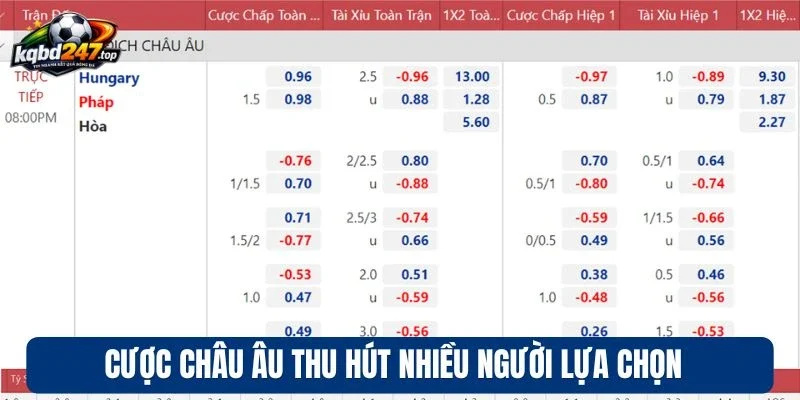 Soi Kèo Euro - Các Kèo Cược và Cách Dự Đoán Chính Xác 100% 3 Cược châu Âu thu hút nhiều người lựa chọn