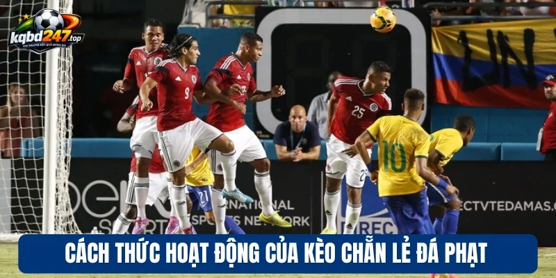 Kèo Chẵn Lẻ Đá Phạt - Cược Đơn Giản, Nhận Thưởng Cực To 4 Cách chơi kèo chẵn lẻ đá phạt hiệu quả