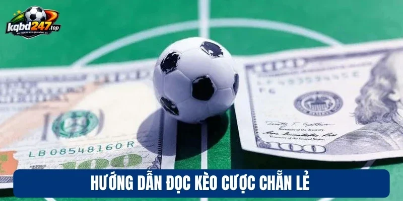 Kèo Chẵn Lẻ - Cược Bóng Đá Với Xác Suất Thắng 50% Mỗi Cửa 3 Hướng dẫn đọc kèo cược chẵn lẻ