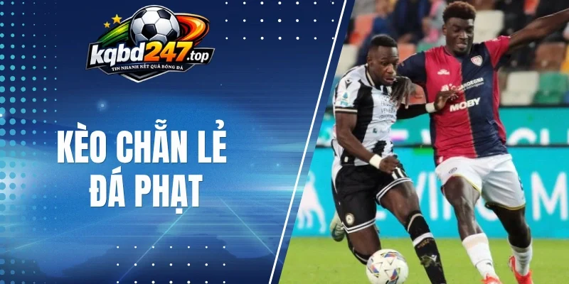 Cách thức hoạt động của kèo chẵn lẻ đá phat