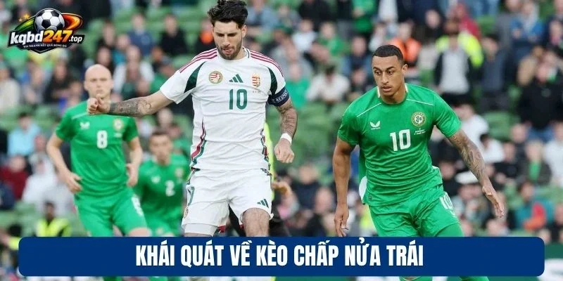 Kèo Chấp Nửa Trái - Bí Kíp Cược Hiệu Quả Chuẩn Cao Thủ 2 Khái quát vài điều về kèo chấp nửa trái