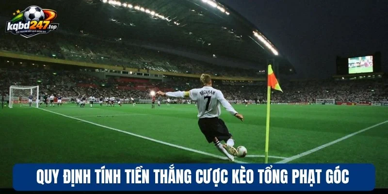 Kèo Tổng Phạt Góc - Theo Dõi Diễn Biến, Chốt Kèo Ngon Cực Dễ 3 Quy định tính tiền thắng cược kèo tổng phạt góc