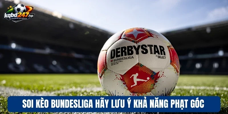 Soi Kèo Bundesliga - Kinh Nghiệm Soi Kèo Bóng Đức Chính Xác 3 Soi kèo Bundesliga với rất nhiều thể loại