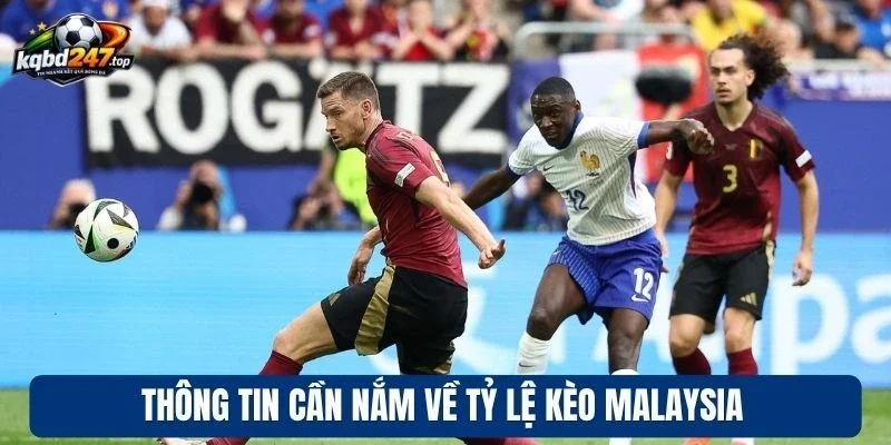 Tỷ Lệ Kèo Malaysia - Phân Tích Đơn Giản, Thắng Đậm Mỗi Ngày 2 Thông tin cần nắm về tỷ lệ kèo Malaysia