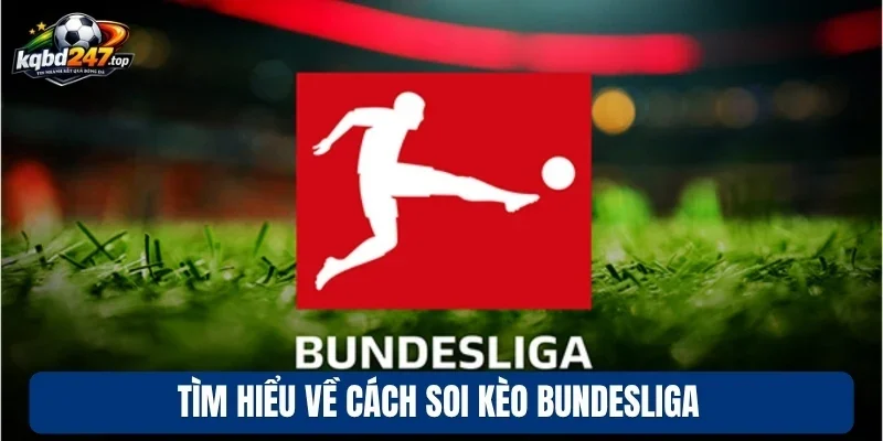 Soi Kèo Bundesliga - Kinh Nghiệm Soi Kèo Bóng Đức Chính Xác 2 Tìm hiểu về cách soi kèo Bundesliga