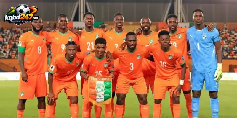 Soi Kèo Nhà Cái Bờ Biển Ngà Vs Ecuador - Bảng E World Cup 06h00 15/06/2026 4 Đội hình và sơ đồ dự kiến của Bờ Biển Ngà vs Ecuador